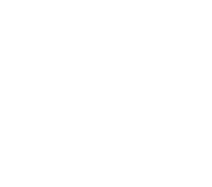 Netent logo