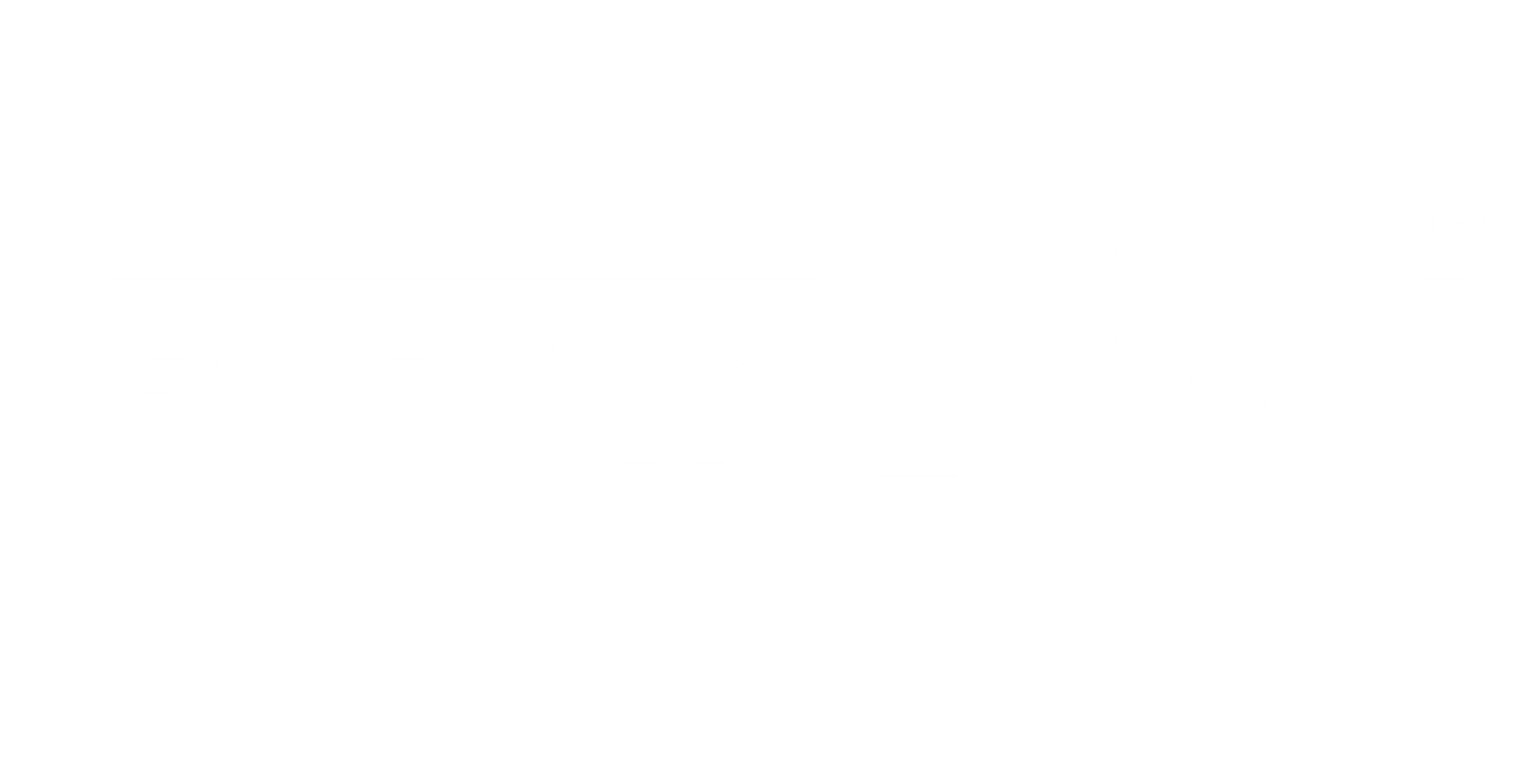 Play'n go logo