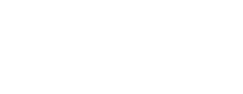 Playson logo